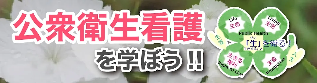 【保健師】公衆衛生看護を学ぼう!【役立つ教材】